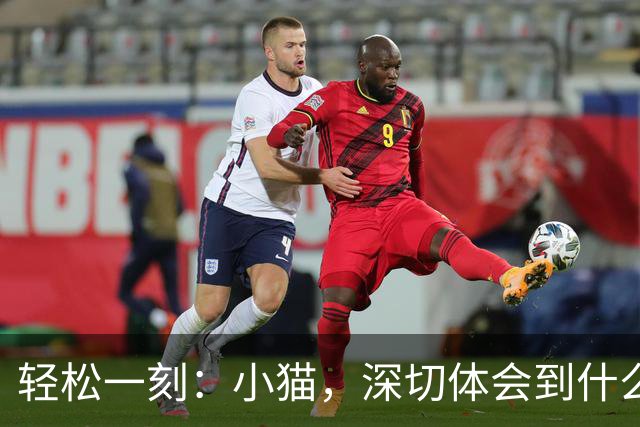 轻松一刻：小猫，深切体会到什么叫心有鱼而力不足~